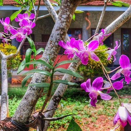Vedic Heritage Boutique Hotel Kovalam Exterior photo