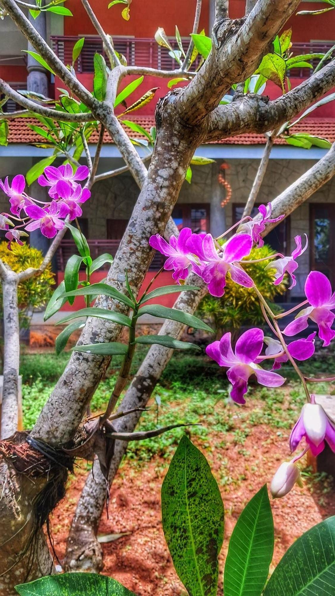 Vedic Heritage Boutique Hotel Kovalam Exterior photo